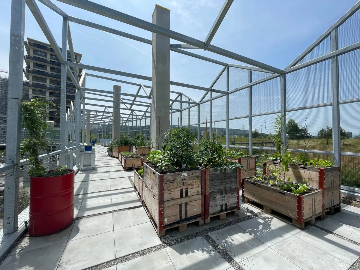 Manche Mieter haben ein Hochbeet auf der Dachterrasse.  Hochbeete auf einer Dachterrasse.
